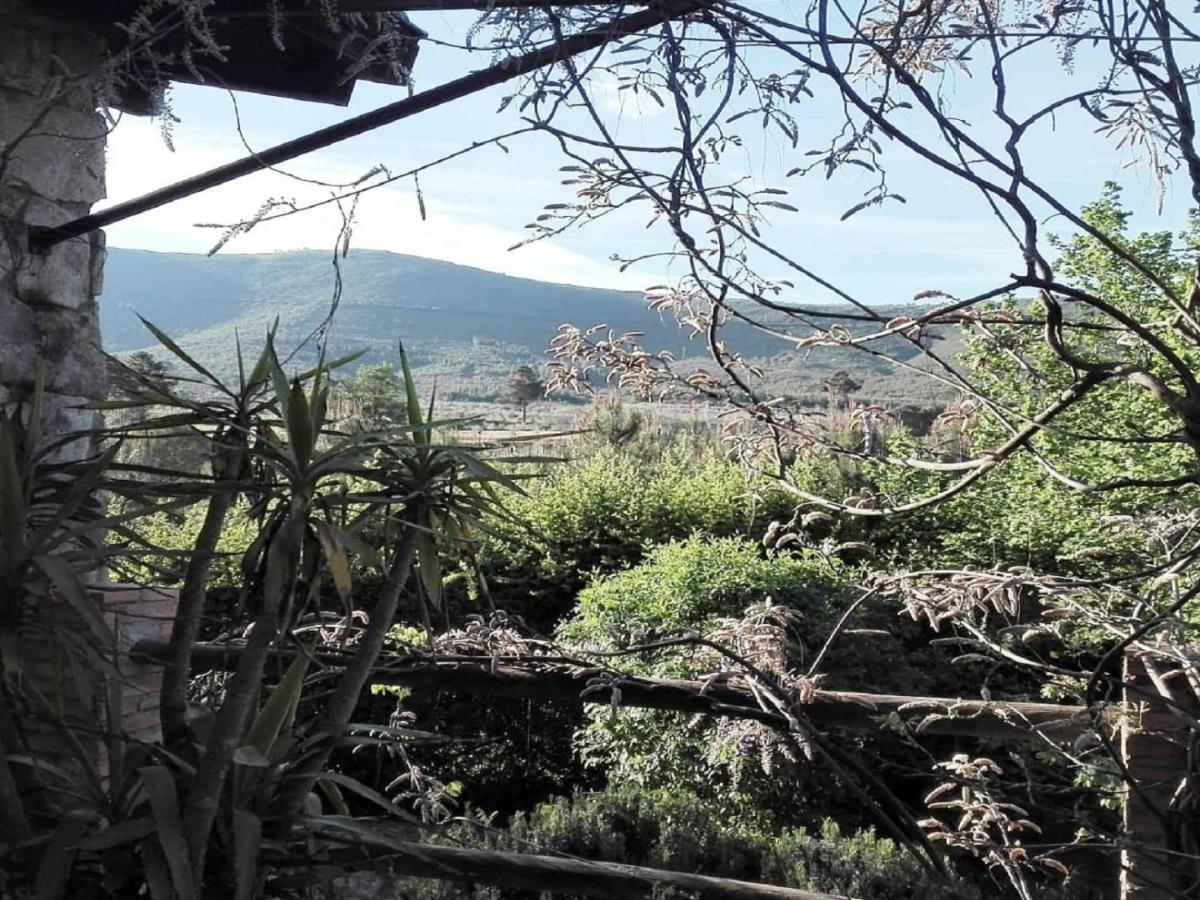 Naturaleza, Confort Y Vistas Inigualable En Casa Rural La Cumbre Gata Esterno foto