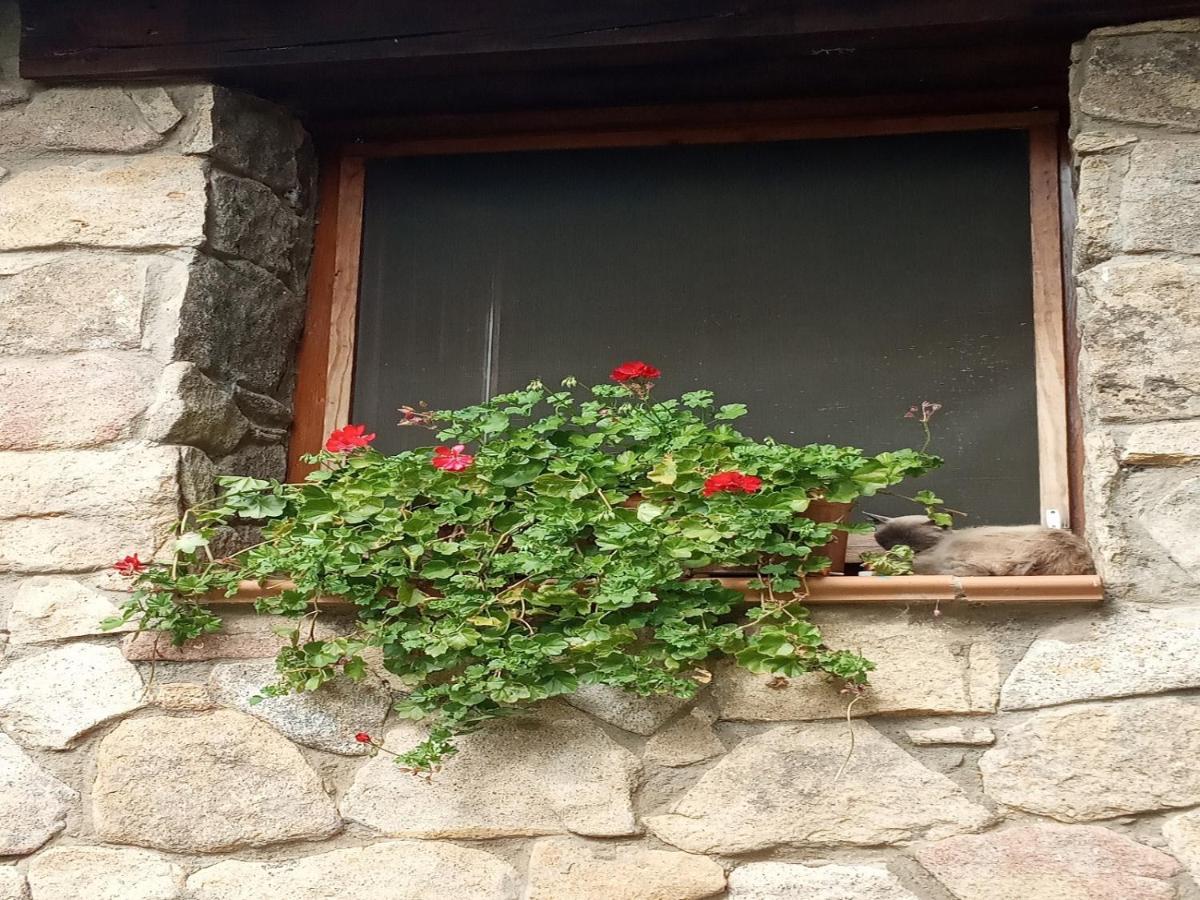 Naturaleza, Confort Y Vistas Inigualable En Casa Rural La Cumbre Gata Esterno foto