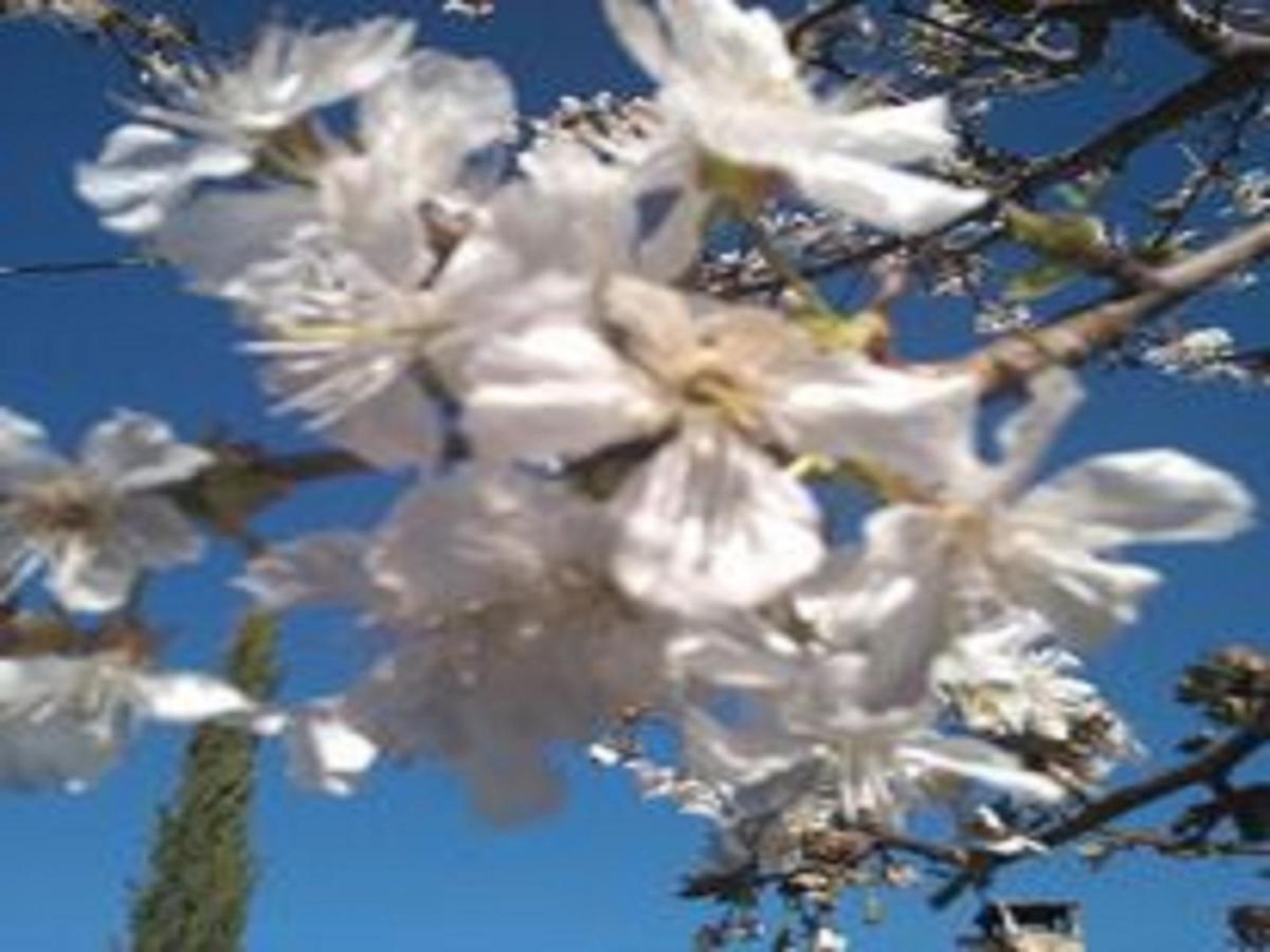 Naturaleza, Confort Y Vistas Inigualable En Casa Rural La Cumbre Gata Esterno foto