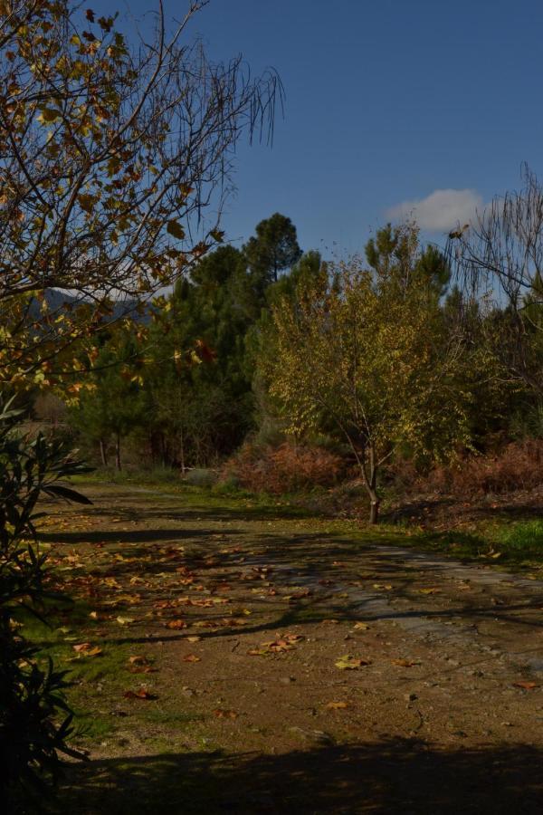 Naturaleza, Confort Y Vistas Inigualable En Casa Rural La Cumbre Gata Esterno foto