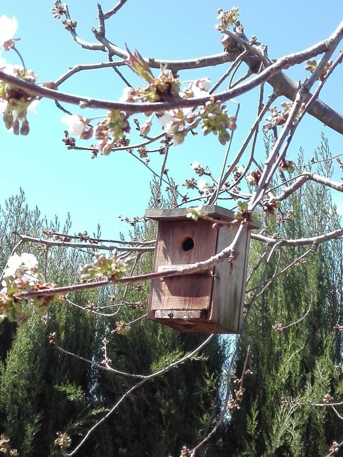 Naturaleza, Confort Y Vistas Inigualable En Casa Rural La Cumbre Gata Esterno foto